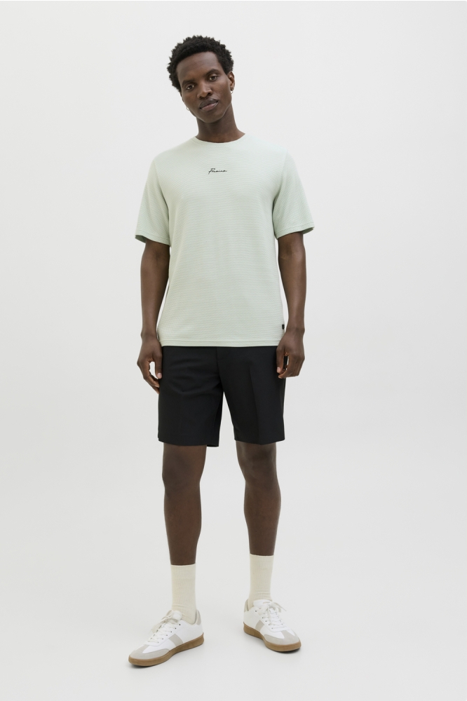 JPRBLAFRANCO SS TEE CREW NECK LN 12175825 AQUA GRAY
